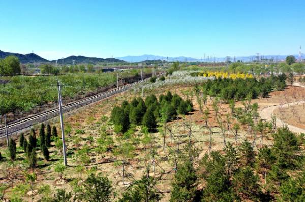 1764643016944797.jpg 8.jpg