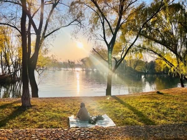 1764643099501959.jpg 14.jpg