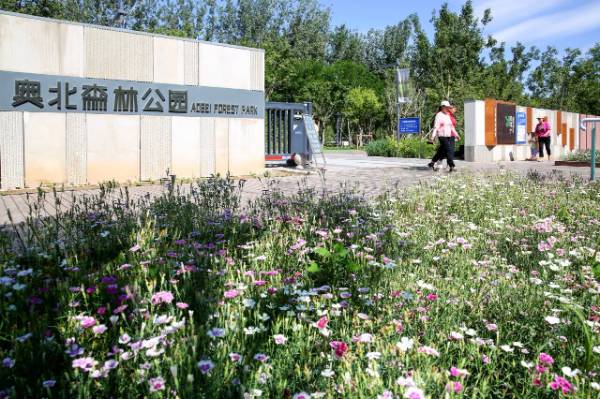 1764643123524487.jpg 15.jpg