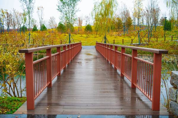 1764643130227986.jpg 16.jpg