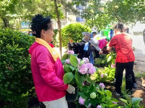 1764643161231792.jpg 17.jpg