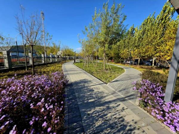 1764643167590329.jpg 18.jpg