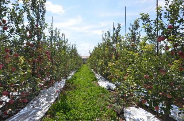 1764643192266948.jpg 20.jpg