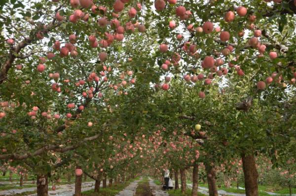 1764643206478415.jpg 21.jpg