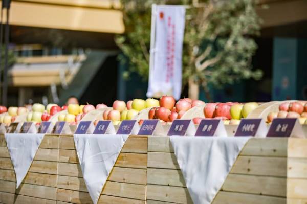 1764643226930572.jpg 22.jpg