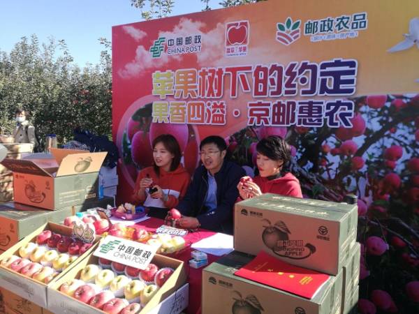 1764643308491530.jpg 24.jpg