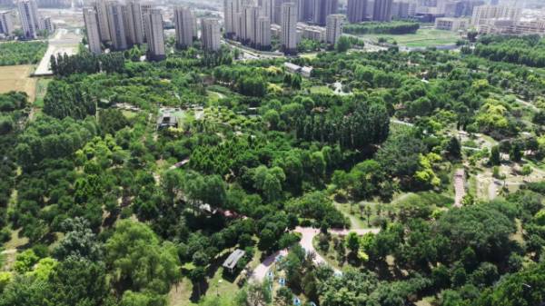 1764914865310576.png 6.png