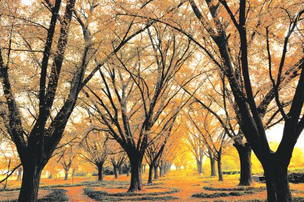 1765160439435765.jpg 3.jpg