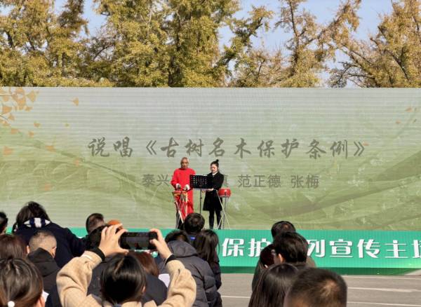 1765160454657395.png 4.png