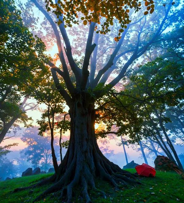 1765161247711878.jpg 9.jpg