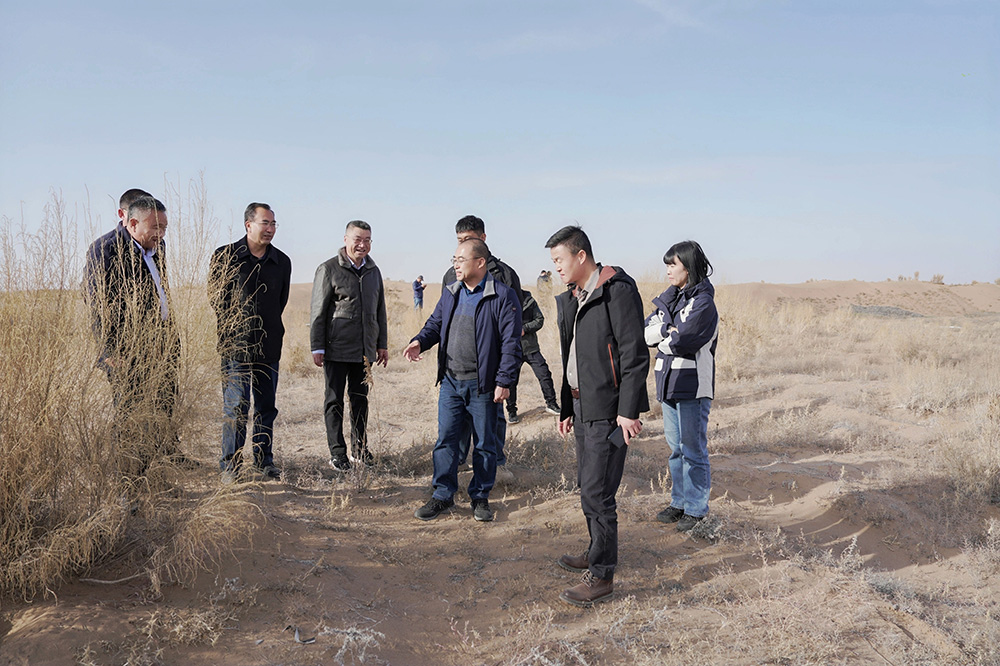 1765250227753202.jpg 1.jpg