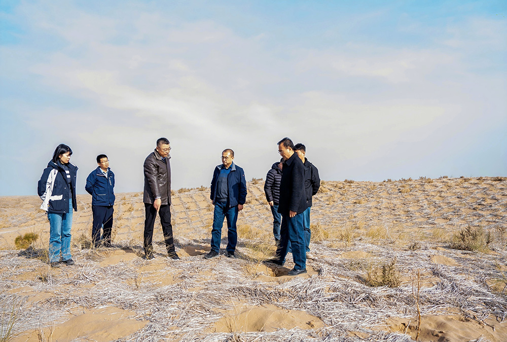 1765250233866634.jpg 2.jpg