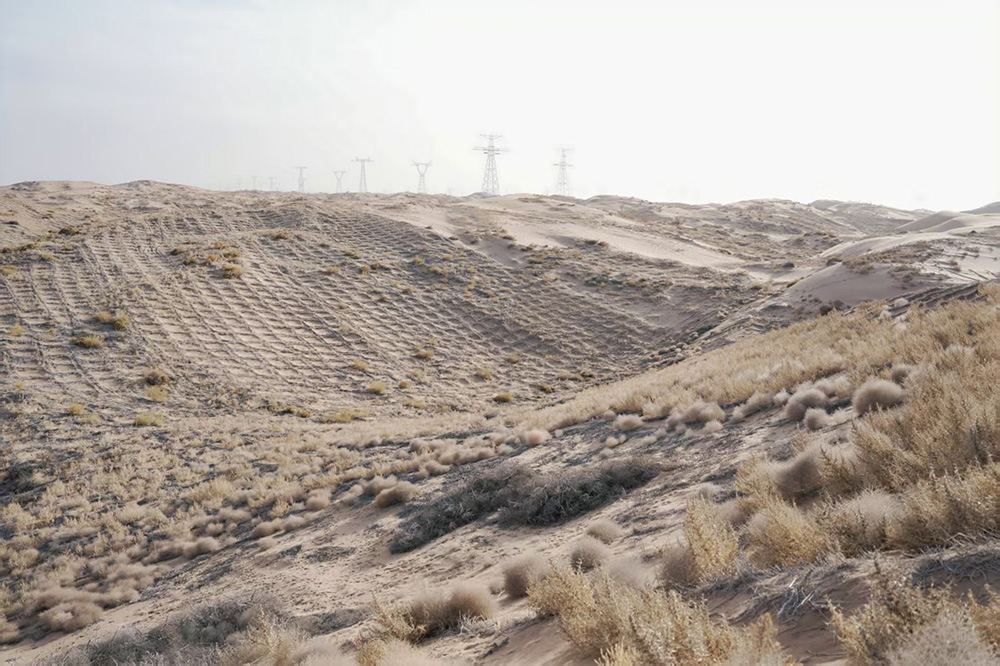 1765250238771420.jpg 3.jpg