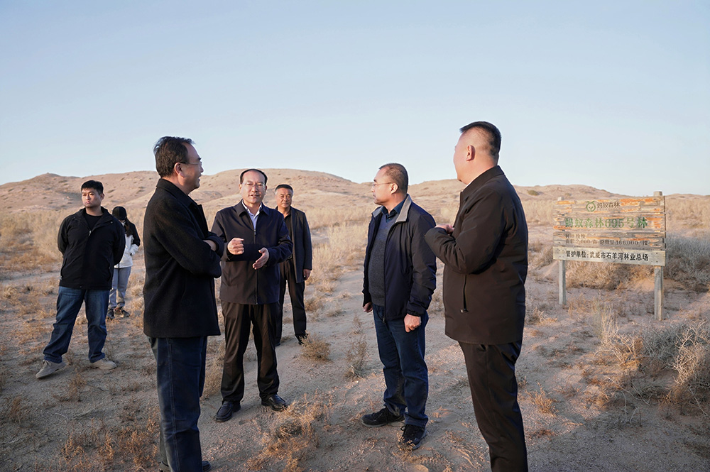 1765250244703494.jpg 4.jpg