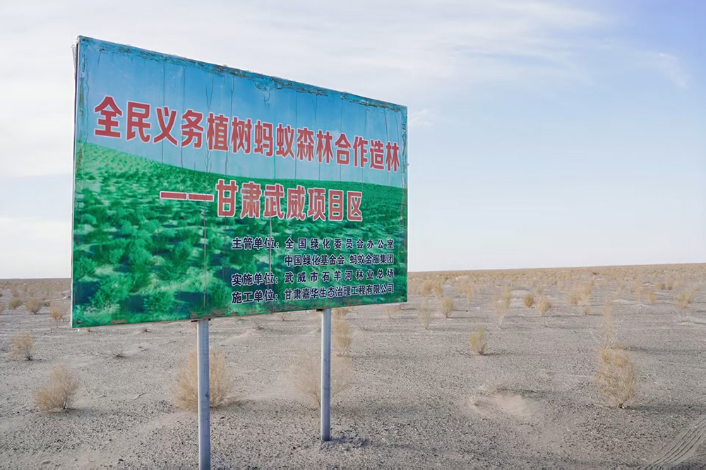 1765250254158039.jpg 5.jpg