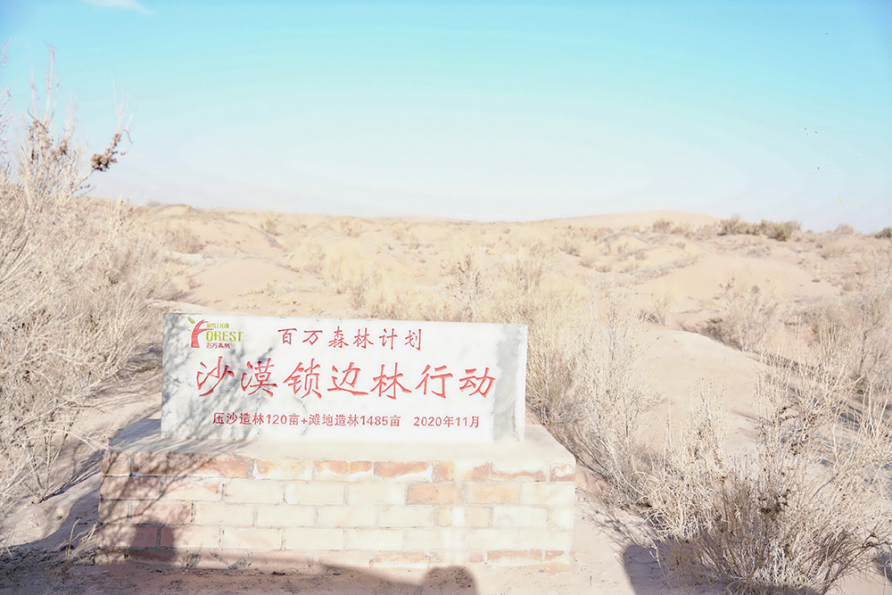 1765250278697436.jpg 6.jpg