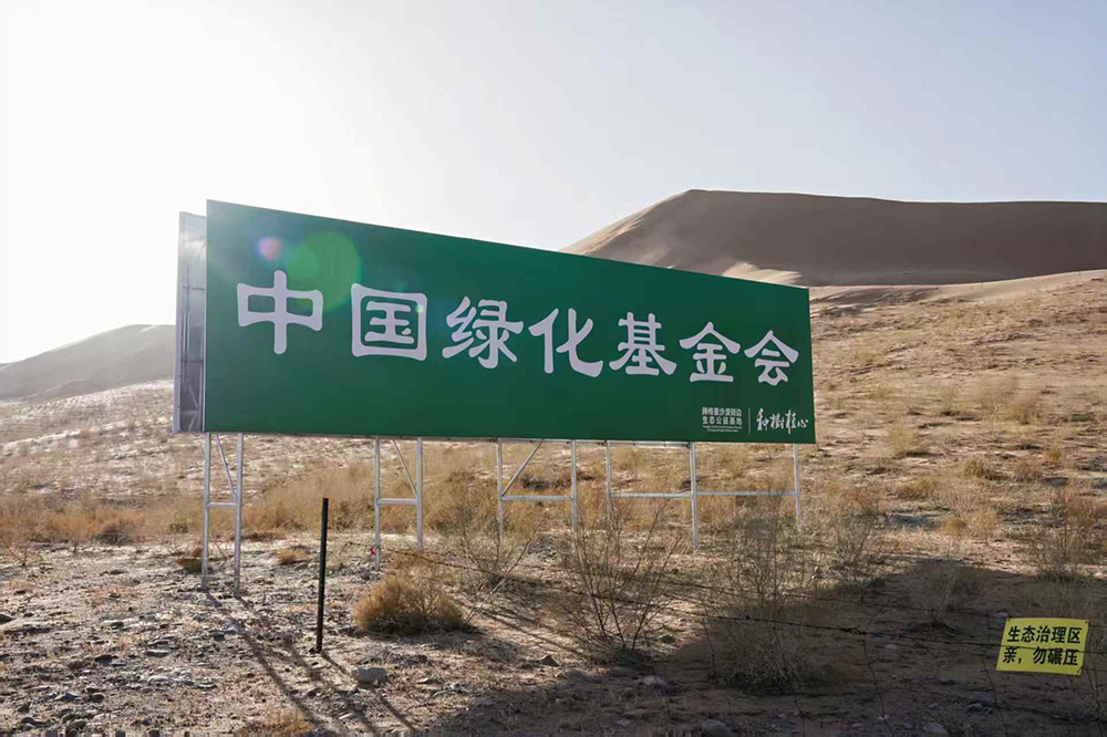 1765250284674782.jpg 7.jpg