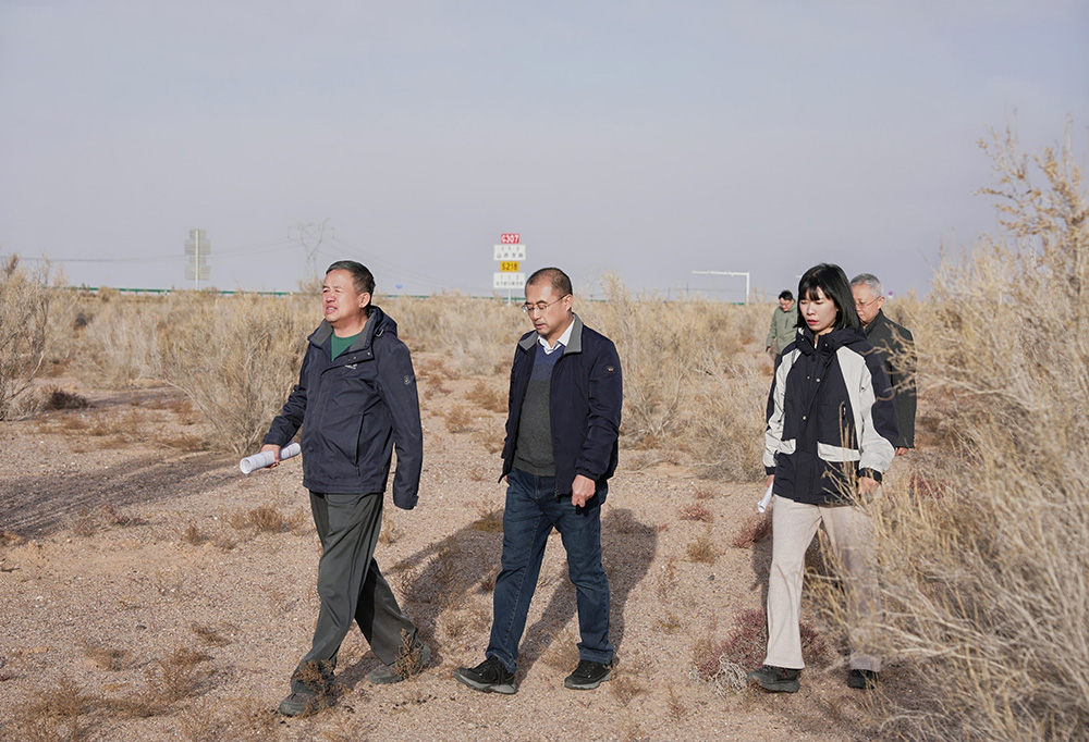 1765250298554667.jpg 8.jpg