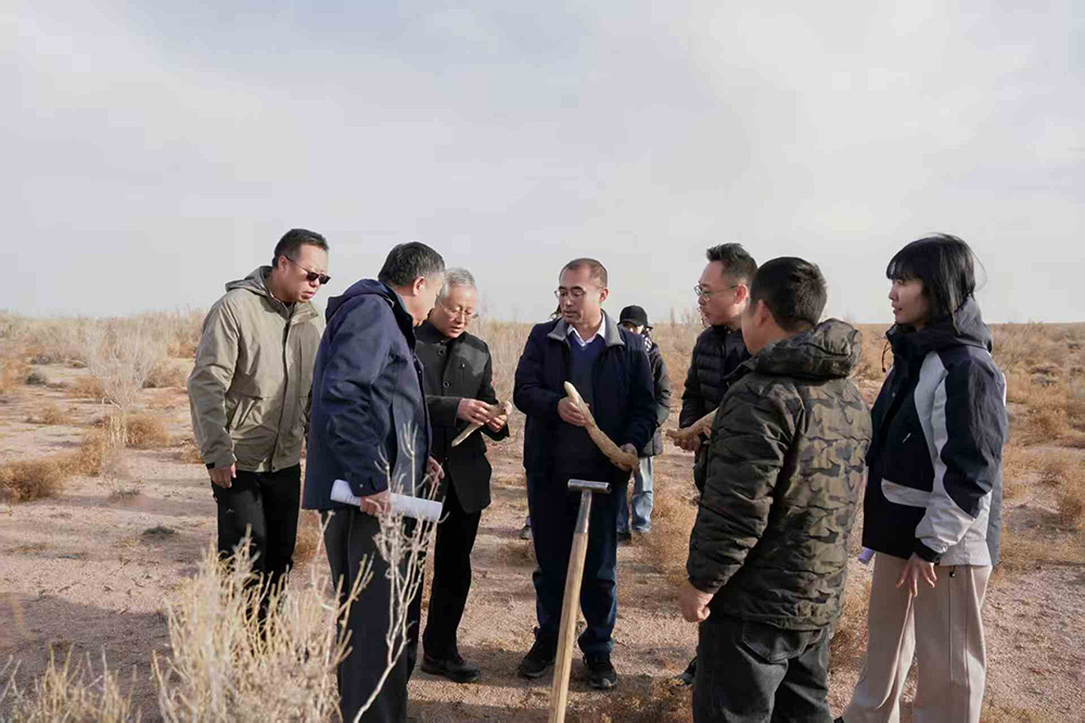 1765250313546129.jpg 9.jpg