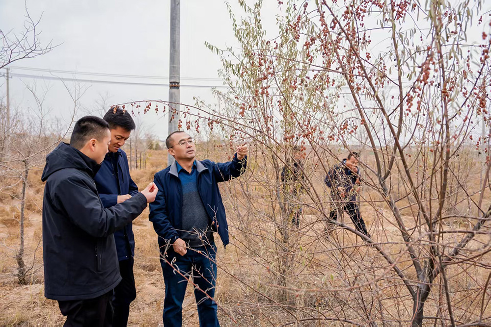 1765250332896711.jpg 0.jpg