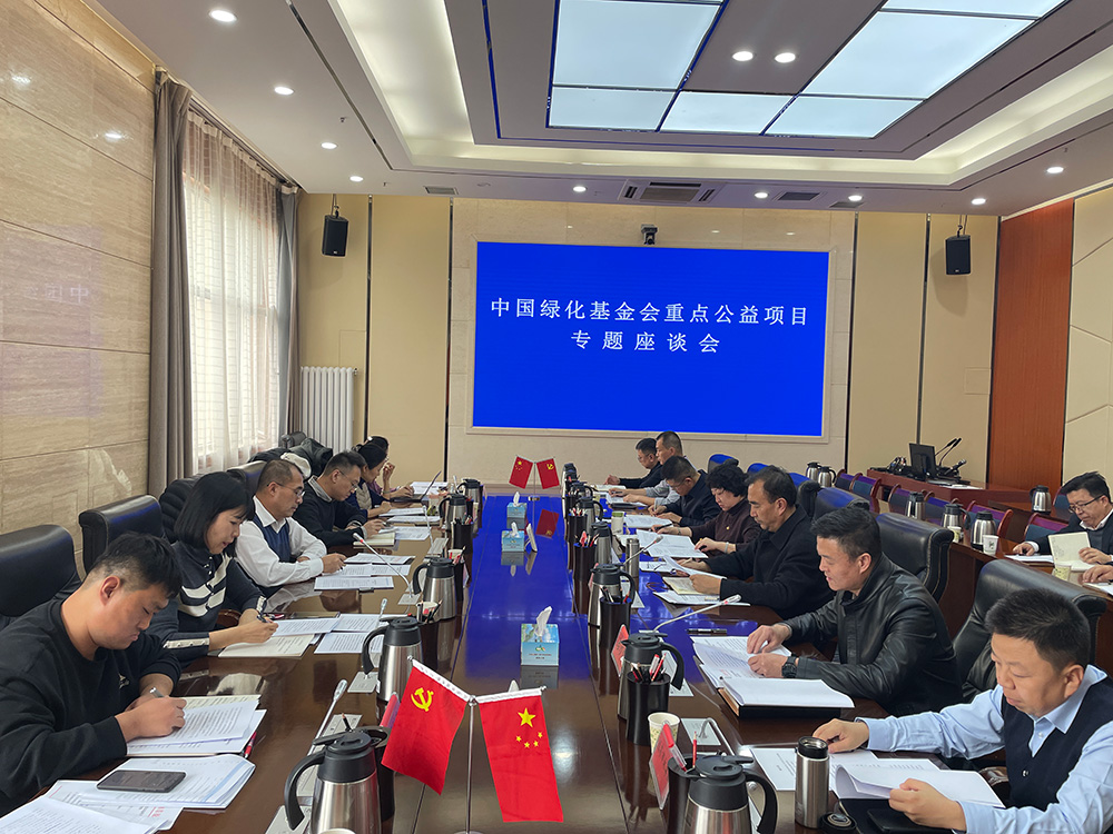 1765250340186524.jpg 10.jpg