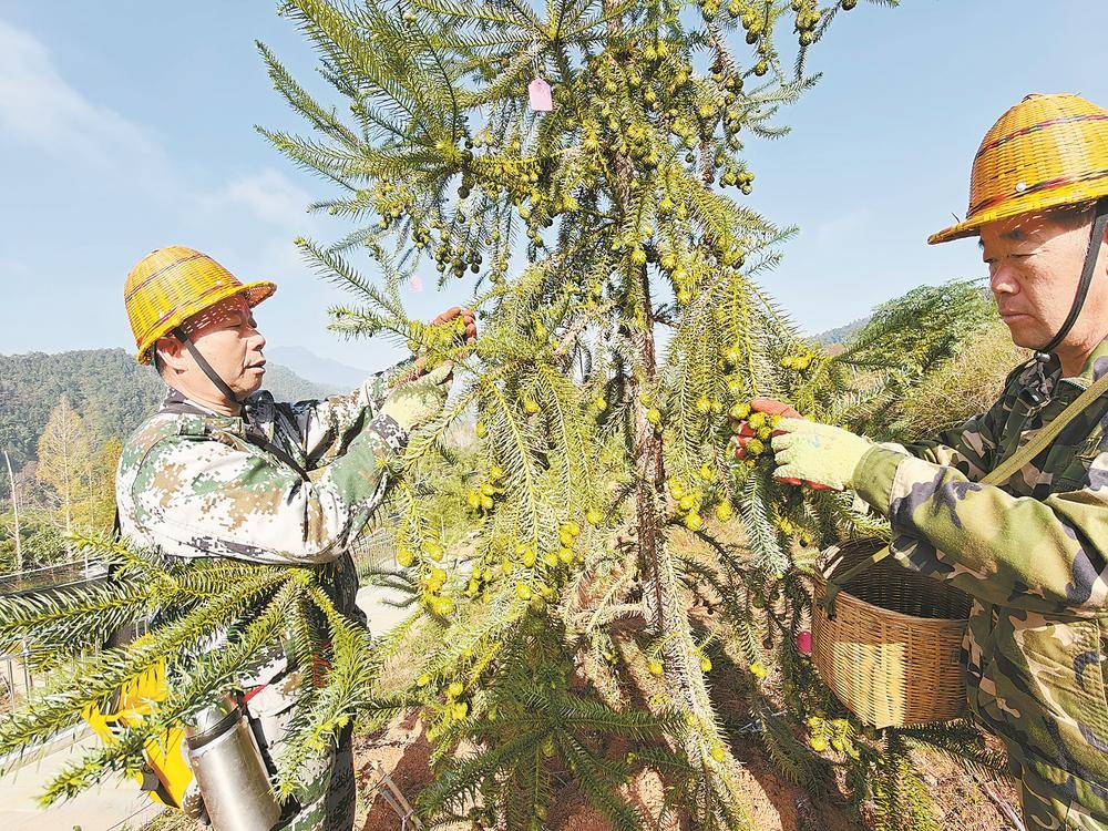 1765257615782116.jpg 1765257615782116.jpg