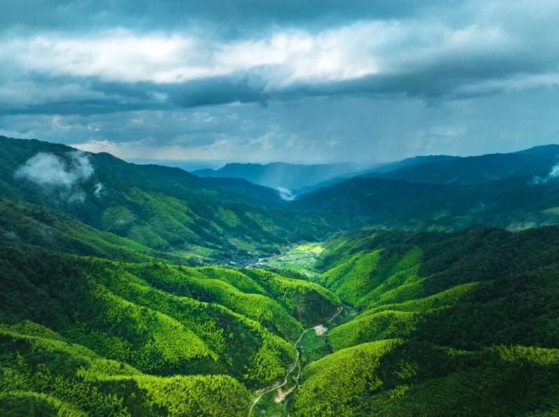 1765258034932333.jpg 6.jpg