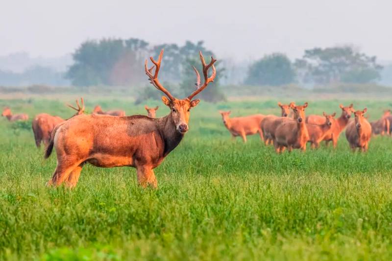 1765258088296505.jpg 10.jpg