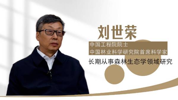 1765343564131406.jpg 4 (1).jpg