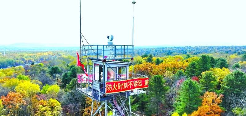 1765354320211918.jpg 2 (1).jpg