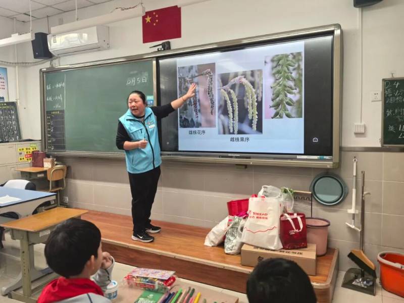 1765354627663902.jpg 9.jpg