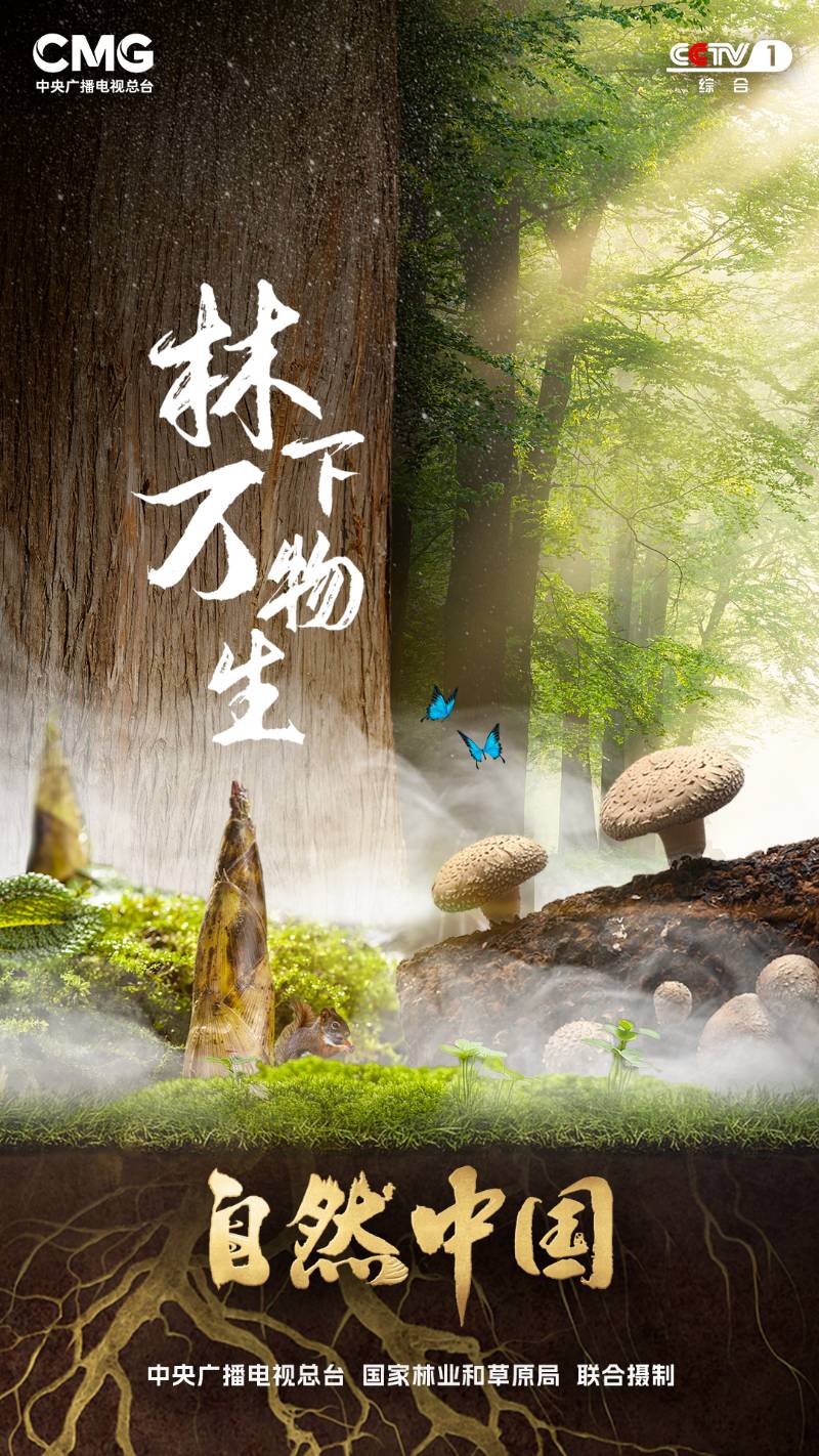 1765421687446800.png 1.png