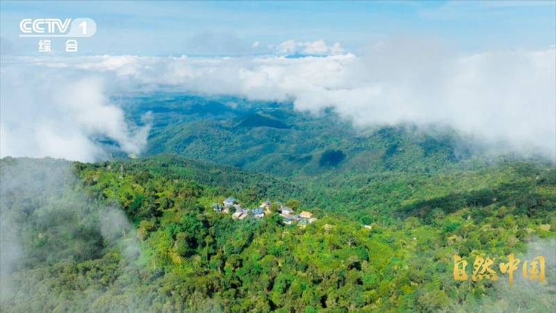 1765421704811513.jpg 2.jpg