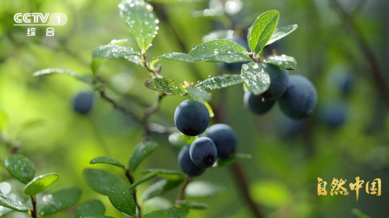 1765421711908208.jpg 3.jpg