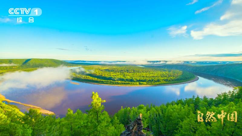 1765421720629655.jpg 4.jpg