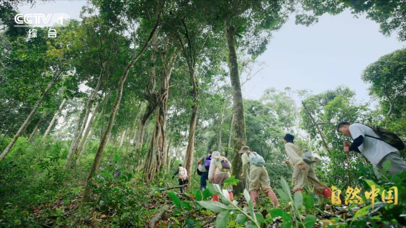 1765421746225772.jpg 6.jpg