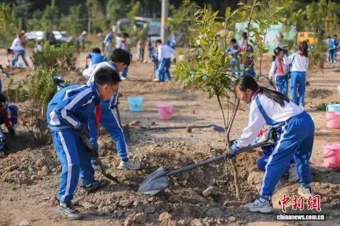 1765422036680718.jpg 12 (1).jpg