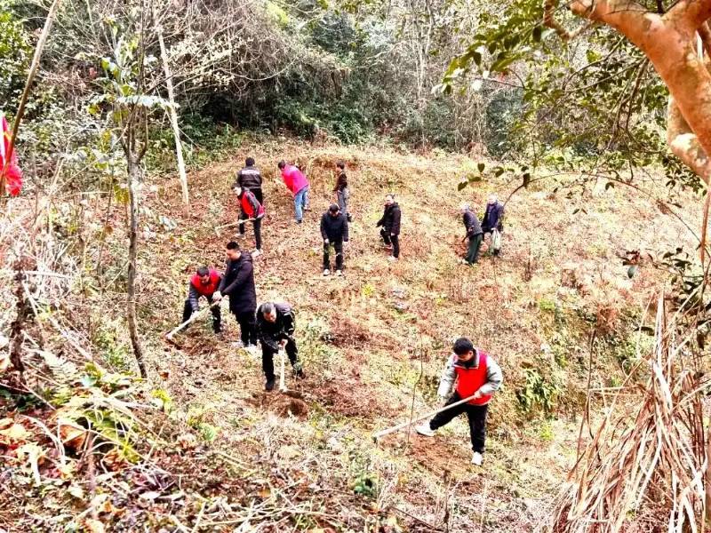 1765422591393200.jpg 15 (1).jpg