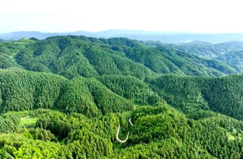 1765422619634847.jpg 13 (1).jpg