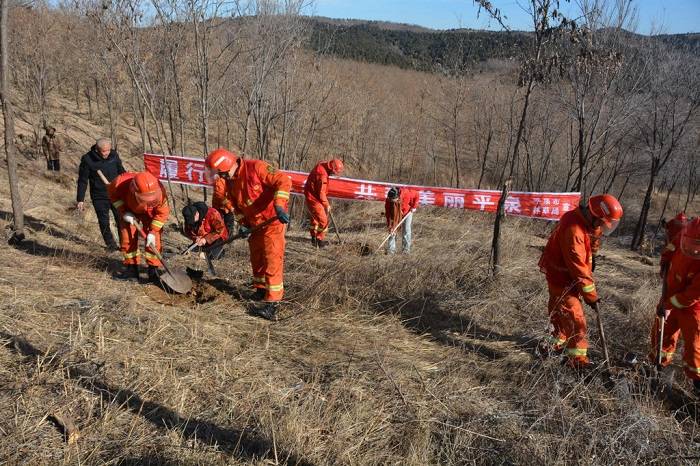 1765511422622642.jpg 1 (1).jpg