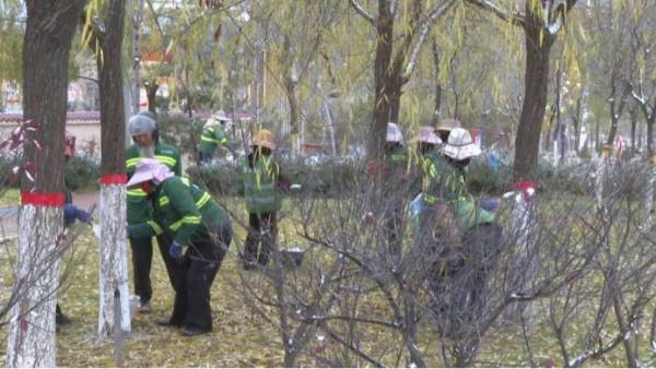 1765517975306248.jpg 2 (1).jpg