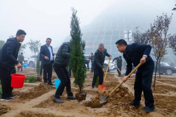 1765517995632410.jpg 3 (1).jpg