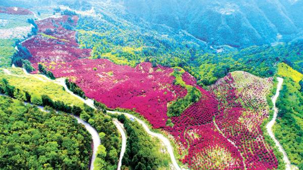 1765766998348989.jpg 1 (1).jpg