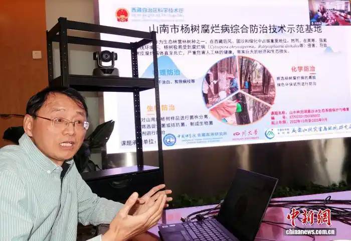 1765767769361695.jpg 4 (1).jpg