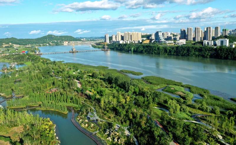 1765938230620837.jpg 1.jpg