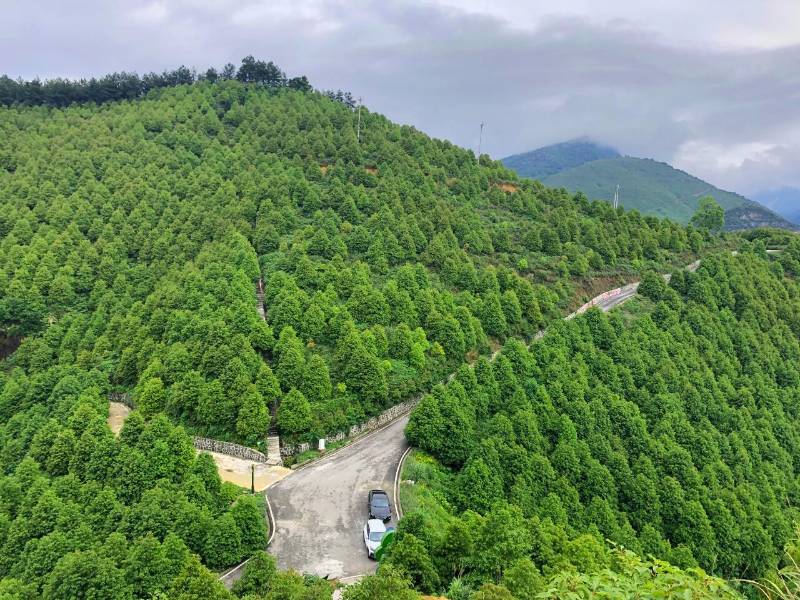 1765938248992552.jpg 2.jpg