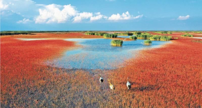 1766110801360485.jpg 1 (1).jpg