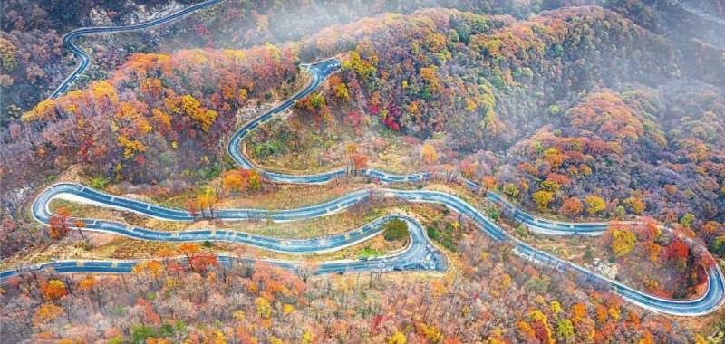 1766460980636548.jpg 2 (1).jpg