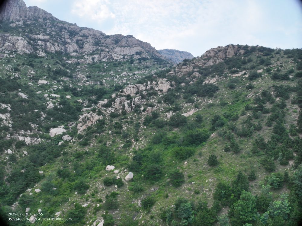 1767082275184238.jpg 日照市高新区河山造林绿化项目现场图片.jpg