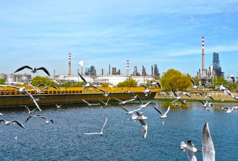 1767852419504982.jpg 1.jpg